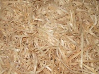 image of texture