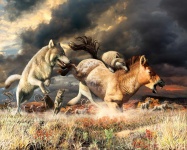 image of animal