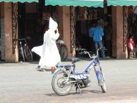 image of moped
