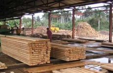 image of lumbermill