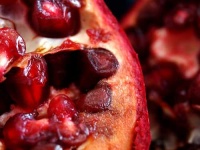 image of pomegranate