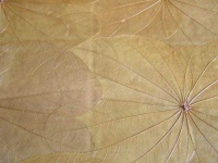 image of texture
