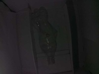 image of bottle_50cl