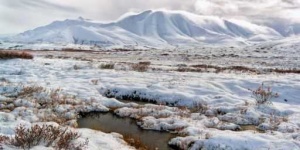 image of tundra