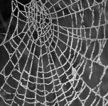 image of texture