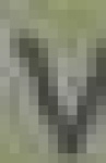 image of char