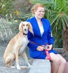 image of saluki