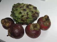 image of custard_apple #2