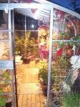 image of greenhouse