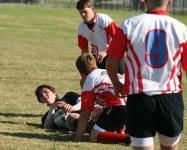 image of rugby_ball