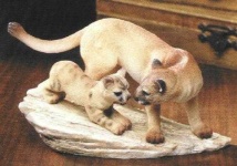 image of cougar