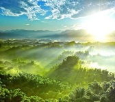 image of sunny