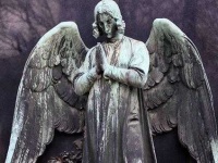 image of angel