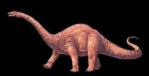image of brontosaurus