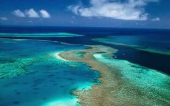 image of reef