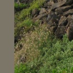 image of material