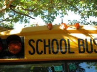 image of school_bus #5