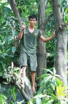 image of hatchet