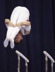 image of parallel_bars