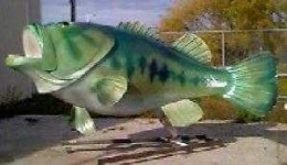 image of animal