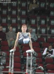 image of parallel_bars