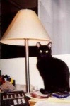 image of lamp
