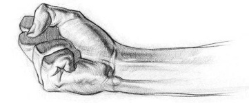 image of human_body_parts