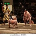 image of sumo_wrestling #12