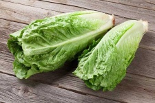 image of lettuce #22