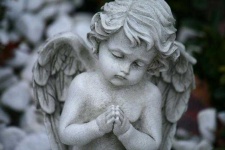 image of angel