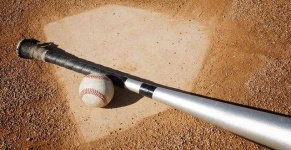 image of baseball_bat