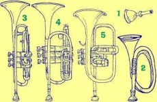 image of trumpet