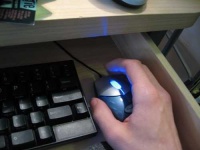image of mouse