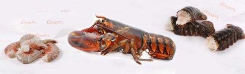 image of lobster