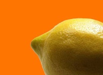 image of lemon #21