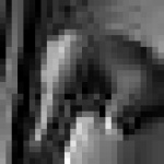 image of sign_language