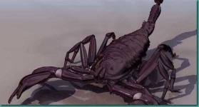 image of scorpion