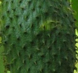 image of texture