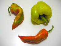 image of fruit_and_vegetable