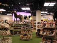 image of indoor
