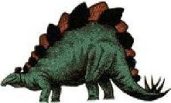 image of stegosaurus