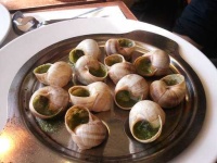 image of escargots #26