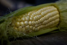 image of corn