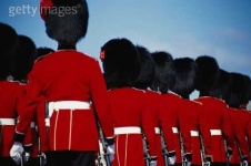 image of bearskin