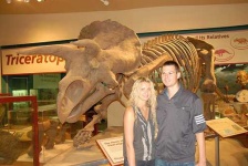 image of triceratops