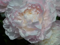 image of texture