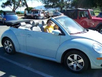 image of convertible_car