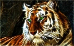 image of animal