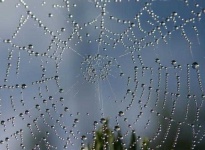 image of texture