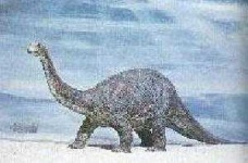 image of brontosaurus